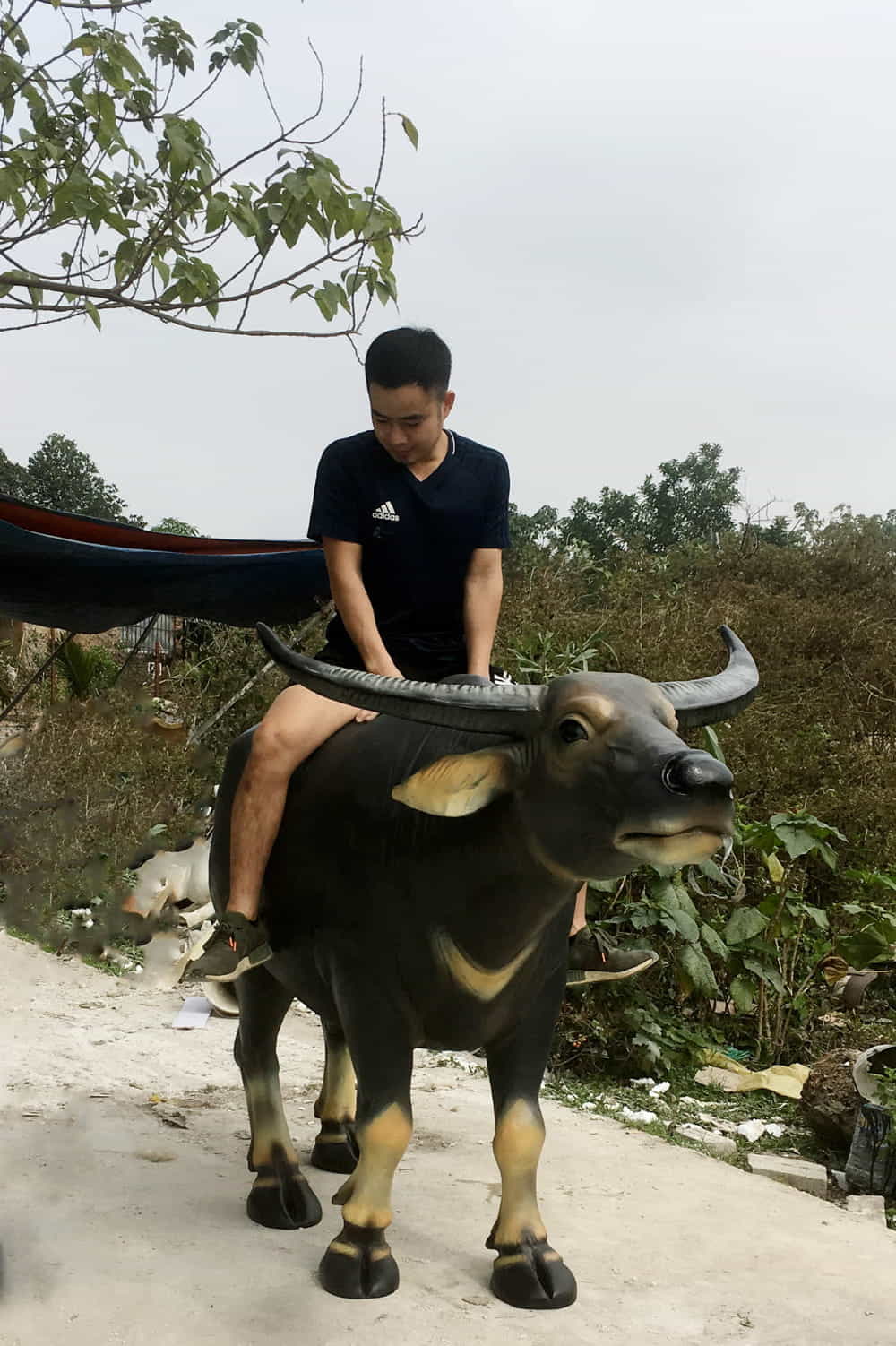 tuong-trau-composite-4