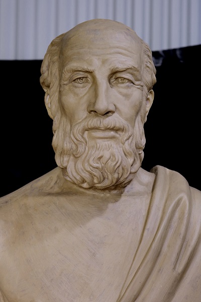 Tường-hippocrates-tổng hợp-1